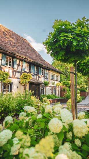 Parc extérieur du Domaine du Kaegy à Steinbrunn-le-Bas, Lieu Mariage et Séminaire Alsace