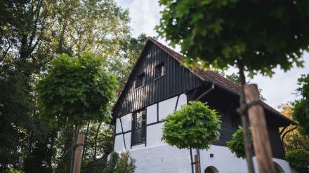 Extérieur Domaine du Kaegy à Steinbrunn-le-Bas, Lieu Mariage et Séminaire Alsace